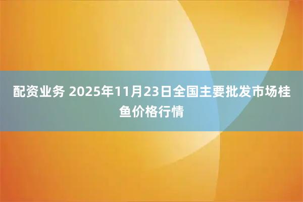 配资业务 2025年11月23日全国主要批发市场桂鱼价格行情
