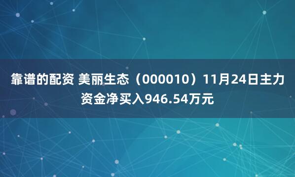 靠谱的配资 美丽生态（000010）11月24日主力资金净买入946.54万元